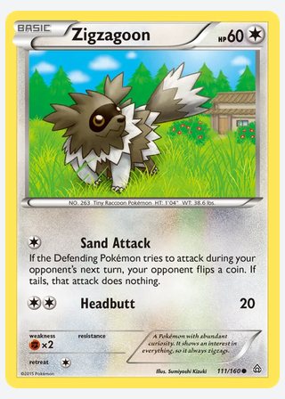 Zigzagoon — catalogusbeeld