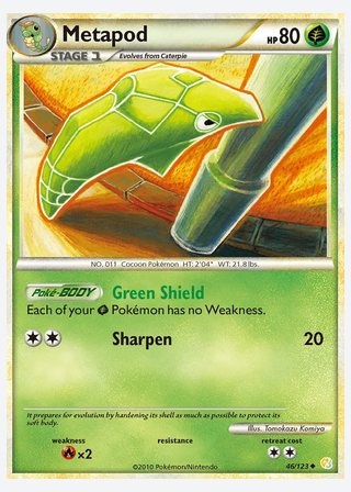 Metapod — catalogusbeeld