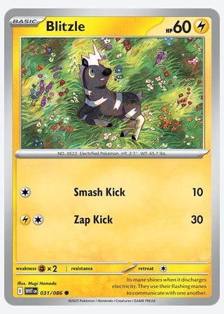 Blitzle — catalogusbeeld