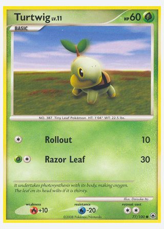 Turtwig — catalogusbeeld