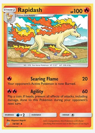 Rapidash — catalogusbeeld