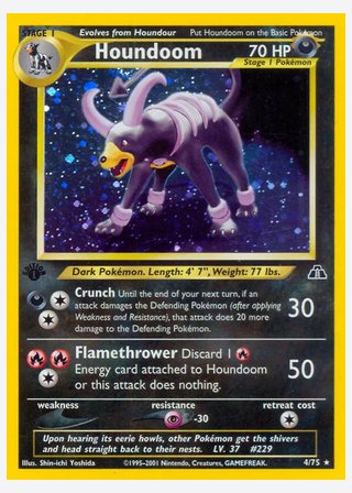 Houndoom — catalogusbeeld
