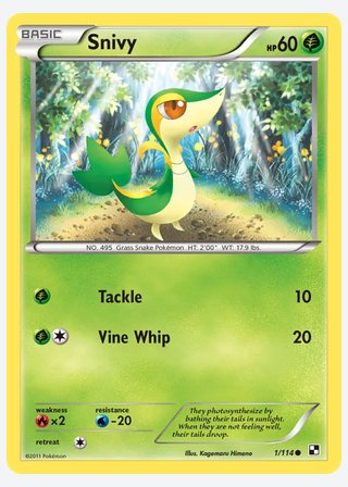 Snivy — catalogusbeeld