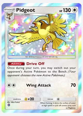 Pidgeot — catalogusbeeld
