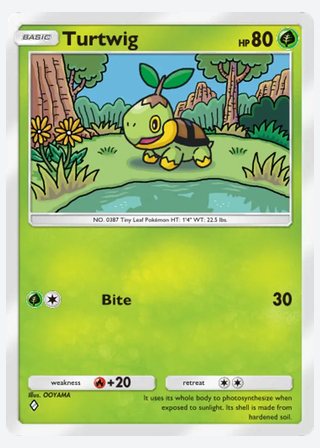 Turtwig — catalogusbeeld