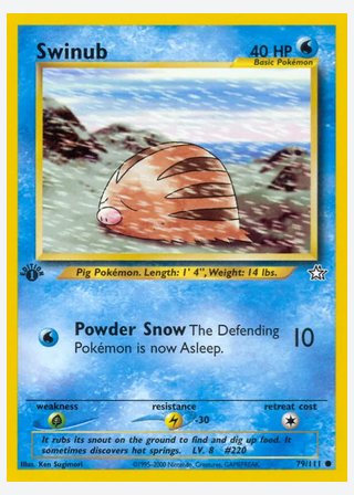 Swinub — catalogusbeeld