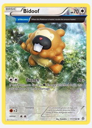 Bidoof — catalogusbeeld