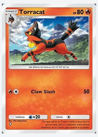 Torracat — catalogusbeeld