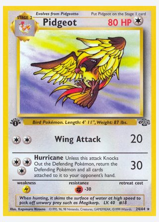 Pidgeot — catalogusbeeld