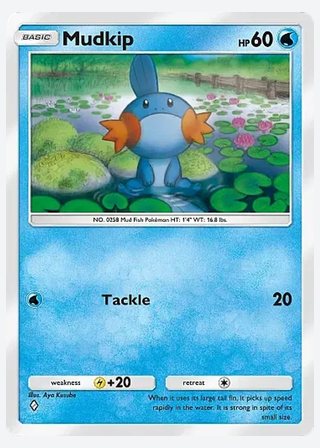 Mudkip — catalogusbeeld