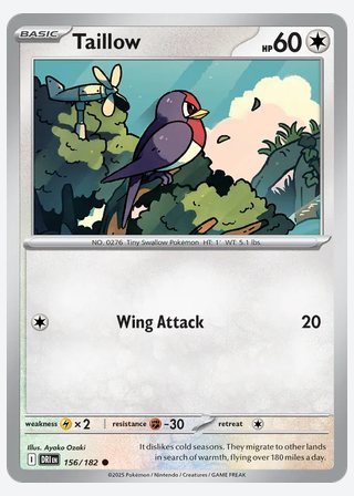 Taillow — catalogusbeeld
