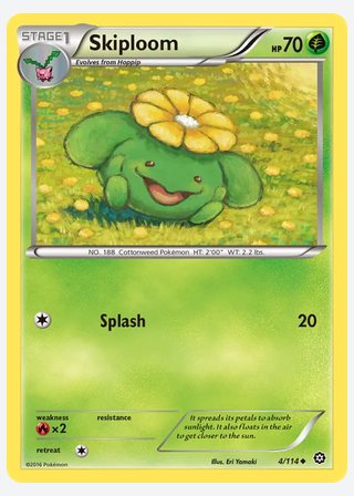 Skiploom — catalogusbeeld