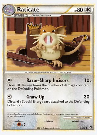 Raticate — catalogusbeeld