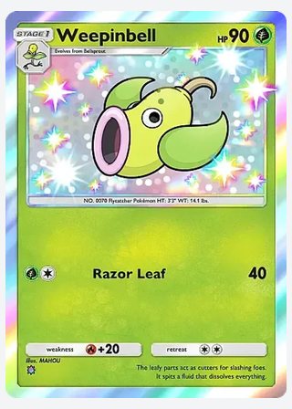 Weepinbell — catalogusbeeld