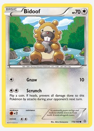 Bidoof — catalogusbeeld