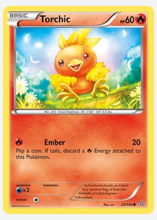 Torchic — catalogusbeeld