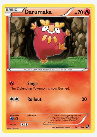 Darumaka — catalogusbeeld