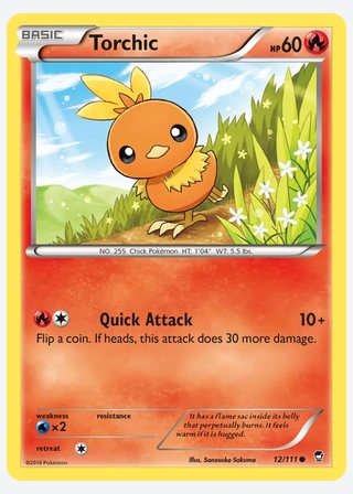 Torchic — catalogusbeeld