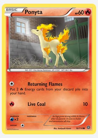 Ponyta — catalogusbeeld