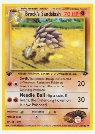Brock's Sandslash — catalogusbeeld