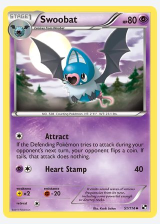 Swoobat — catalogusbeeld