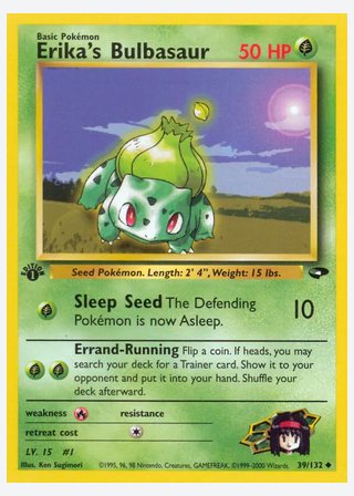 Erika's Bulbasaur — catalogusbeeld