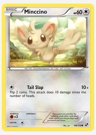 Minccino — catalogusbeeld
