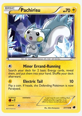 Pachirisu — catalogusbeeld
