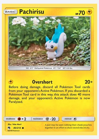 Pachirisu — catalogusbeeld