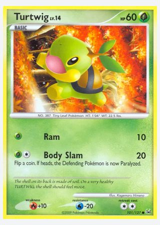 Turtwig — catalogusbeeld