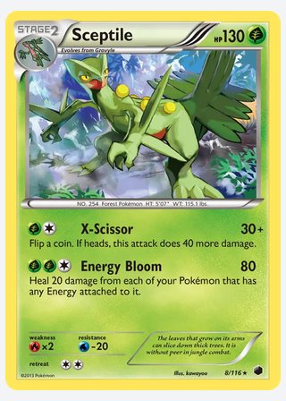 Sceptile — catalogusbeeld