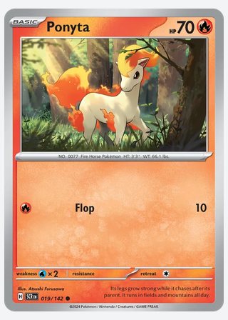 Ponyta — catalogusbeeld