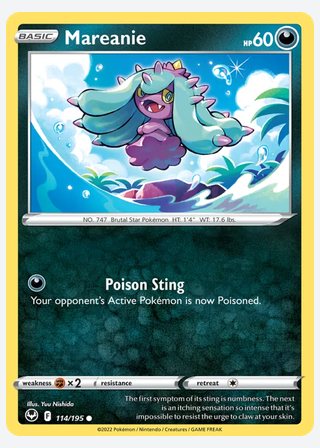 Mareanie — catalogusbeeld