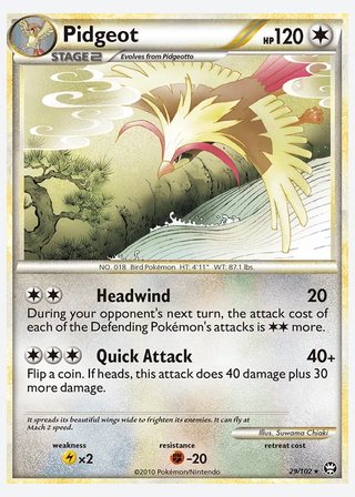 Pidgeot — catalogusbeeld