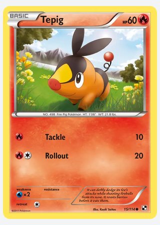 Tepig — catalogusbeeld