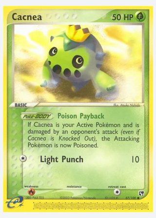 Cacnea — catalogusbeeld
