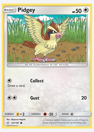 Pidgey — catalogusbeeld
