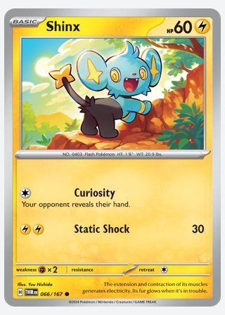 Shinx — catalogusbeeld