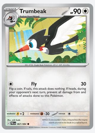 Trumbeak — catalogusbeeld