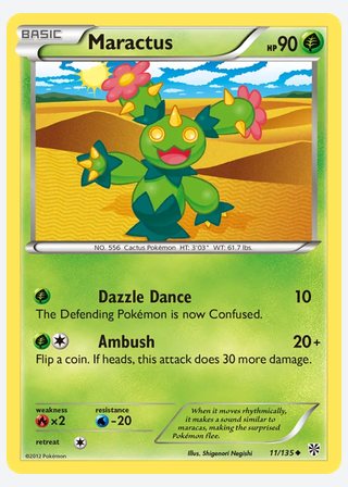 Maractus — catalogusbeeld