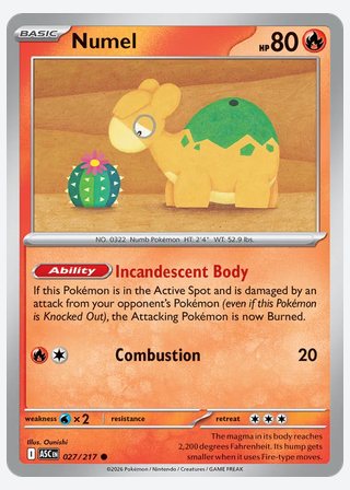 Numel — catalogusbeeld