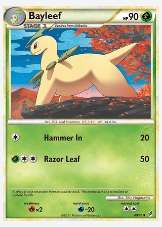 Bayleef — catalogusbeeld