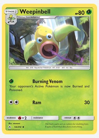 Weepinbell — catalogusbeeld
