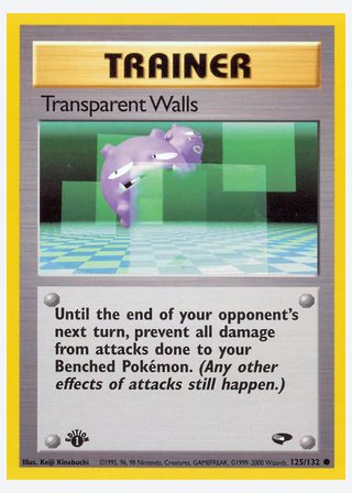 Transparent Walls — catalogusbeeld