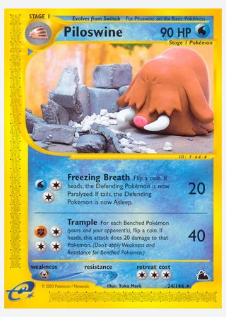 Piloswine — catalogusbeeld