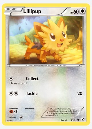 Lillipup — catalogusbeeld