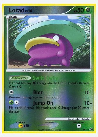 Lotad — catalogusbeeld