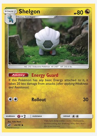 Shelgon — catalogusbeeld