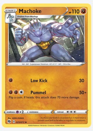 Machoke — catalogusbeeld