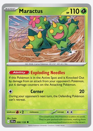 Maractus — catalogusbeeld